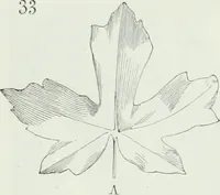 An illustration from Dictionnaire raisonné de l'architecture française du XIe au XVIe siècle (1875)