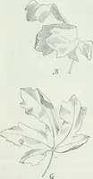 An illustration from Dictionnaire raisonné de l'architecture française du XIe au XVIe siècle (1875)