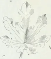 An illustration from Dictionnaire raisonné de l'architecture française du XIe au XVIe siècle (1875)