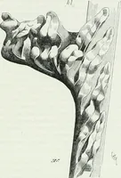 An illustration from Dictionnaire raisonné de l'architecture française du XIe au XVIe siècle (1875)