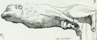 An illustration from Dictionnaire raisonné de l'architecture française du XIe au XVIe siècle (1875)