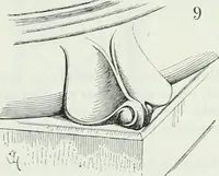 An illustration from Dictionnaire raisonné de l'architecture française du XIe au XVIe siècle (1875)