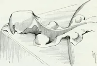 An illustration from Dictionnaire raisonné de l'architecture française du XIe au XVIe siècle (1875)