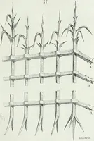 An illustration from Dictionnaire raisonné de l'architecture française du XIe au XVIe siècle (1875)