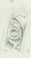 An illustration from Dictionnaire raisonné de l'architecture française du XIe au XVIe siècle (1875)