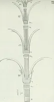 An illustration from Dictionnaire raisonné de l'architecture française du XIe au XVIe siècle (1875)