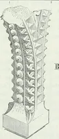 An illustration from Dictionnaire raisonné de l'architecture française du XIe au XVIe siècle (1875)