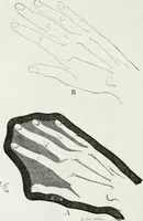 Picture 286 of 356 from Dictionnaire raisonné de l'architecture française du XIe au XVIe siècle (1875), leaf 435