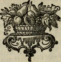 An illustration from Catalogue raisonné des differens effets curieux & rares contenus dans le cabinet de feu M. le chevalier de La Roque : ce cabinet renferme une collection considerable de tableaux, de desseins, & d'estampes des meilleurs maîtres; de figures de bronze & de marbre; de porcelaines anciennes ... de pierres ... de coquilles, & enfin de nombre d'autres morceaux interressans de divers genres (1745)