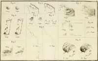 An illustration from Catalogue raisonné de toutes les estampes qui forment l'oeuvre de Rembrandt, et ceux de ses principaux imitateurs (1797)