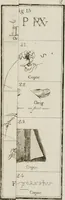 An illustration from Catalogue raisonné de toutes les estampes qui forment l'oeuvre de Rembrandt, et ceux de ses principaux imitateurs (1797)