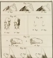 An illustration from Catalogue raisonné de toutes les estampes qui forment l'oeuvre de Rembrandt, et ceux de ses principaux imitateurs (1797)