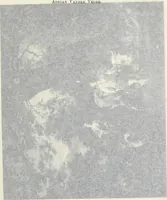 Picture 3 of 6 from A catalogue raisonné of the works of the most eminent Dutch, Flemish, and French painters; in which is included a short biographical notice of the artists, with a copious description of their principal pictures; a statement of the prices at which such pictures have been sold at public sales on the continent and in England; a reference to the galleries and private collections, in which a large portion are at present; and the names of the artists by whom they have been engraved; to which is added, a brief notice of the scholars & imitators of the great masters of the above schools: (1829), leaf 190