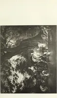An illustration from A catalogue raisonné of the works of the most eminent Dutch, Flemish, and French painters; in which is included a short biographical notice of the artists, with a copious description of their principal pictures; a statement of the prices at which such pictures have been sold at public sales on the continent and in England; a reference to the galleries and private collections, in which a large portion are at present; and the names of the artists by whom they have been engraved; to which is added, a brief notice of the scholars & imitators of the great masters of the above schools: (1829)