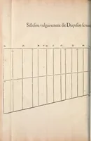 An illustration from Les raisons des forces mouuantes auec diuerses machines tant vtilles que plaisantes : aus quelles sont adioints plusieurs desseings de grotes et fontaines (1615)