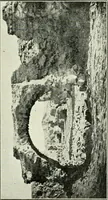 Picture 66 of 87 from Rambles in Cairo (1917), leaf 116