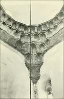 Picture 77 of 87 from Rambles in Cairo (1917), leaf 130