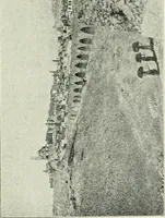 Picture 26 of 87 from Rambles in Cairo (1917), leaf 56