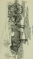 An illustration from Rambles in the Pyrenees and the adjacent districts, Gascony, Pays de Foix [and] Roussillon (1912)