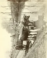 An illustration from Rambles in the Pyrenees and the adjacent districts, Gascony, Pays de Foix, & Roussillon (1912)