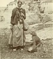 Picture 54 of 137 from Rambles in the Pyrenees and the adjacent districts, Gascony, Pays de Foix, & Roussillon (1912), leaf 220