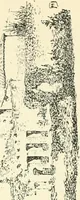 An illustration from Rambles in the Pyrenees and the adjacent districts, Gascony, Pays de Foix, & Roussillon (1912)