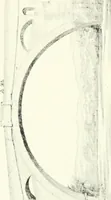 An illustration from Rambles in the Pyrenees and the adjacent districts, Gascony, Pays de Foix, & Roussillon (1912)