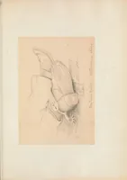 Picture 3 of 4 from Random records of a lifetime, 1846-1931 [actually 1932] volume IV, part I, Colorado explorations, 1873, 74, 75, 76 & 87 (1873), leaf 435