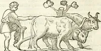 An illustration from Raphaelis Fabretti Gasparis F. Vrbinatis De columna Traiani syntagma : accesserunt explicatio veteris tabellae anaglyphae Homer Iliadem atque ex Stesichoro, Arctino et Lesche Ilii excidium continentis & emissarii lacus Fucini descriptio (1683)