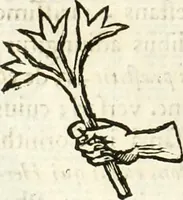 Picture 65 of 250 from Raphaelis Fabretti Gasparis F. Vrbinatis De columna Traiani syntagma : accesserunt explicatio veteris tabellae anaglyphae Homer Iliadem atque ex Stesichoro, Arctino et Lesche Ilii excidium continentis & emissarii lacus Fucini descriptio (1683), leaf 183