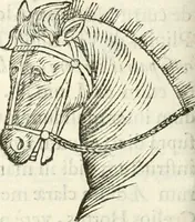 An illustration from Raphaelis Fabretti Gasparis F. Vrbinatis De columna Traiani syntagma : accesserunt explicatio veteris tabellae anaglyphae Homer Iliadem atque ex Stesichoro, Arctino et Lesche Ilii excidium continentis & emissarii lacus Fucini descriptio (1683)