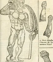 Picture 96 of 250 from Raphaelis Fabretti Gasparis F. Vrbinatis De columna Traiani syntagma : accesserunt explicatio veteris tabellae anaglyphae Homer Iliadem atque ex Stesichoro, Arctino et Lesche Ilii excidium continentis & emissarii lacus Fucini descriptio (1683), leaf 268
