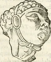 An illustration from Raphaelis Fabretti Gasparis F. Vrbinatis De columna Traiani syntagma : accesserunt explicatio veteris tabellae anaglyphae Homer Iliadem atque ex Stesichoro, Arctino et Lesche Ilii excidium continentis & emissarii lacus Fucini descriptio (1683)