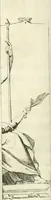 An illustration from Raphaelis Fabretti Gasparis F. Vrbinatis De columna Traiani syntagma : accesserunt explicatio veteris tabellae anaglyphae Homer Iliadem atque ex Stesichoro, Arctino et Lesche Ilii excidium continentis & emissarii lacus Fucini descriptio (1683)
