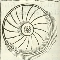 An illustration from Raphaelis Fabretti Gasparis F. Vrbinatis De columna Traiani syntagma : accesserunt explicatio veteris tabellae anaglyphae Homer Iliadem atque ex Stesichoro, Arctino et Lesche Ilii excidium continentis & emissarii lacus Fucini descriptio (1683)