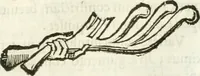Picture 204 of 250 from Raphaelis Fabretti Gasparis F. Vrbinatis De columna Traiani syntagma : accesserunt explicatio veteris tabellae anaglyphae Homer Iliadem atque ex Stesichoro, Arctino et Lesche Ilii excidium continentis & emissarii lacus Fucini descriptio (1683), leaf 356