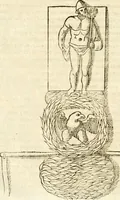 Picture 22 of 250 from Raphaelis Fabretti Gasparis F. Vrbinatis De columna Traiani syntagma : accesserunt explicatio veteris tabellae anaglyphae Homer Iliadem atque ex Stesichoro, Arctino et Lesche Ilii excidium continentis & emissarii lacus Fucini descriptio (1683), leaf 79