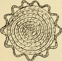 An illustration from Raphia and reed weaving, including also cardboard and paper construction; a practical course for primary and elementary schools (1901)