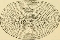 An illustration from Raphia and reed weaving, including also cardboard and paper construction; a practical course for primary and elementary schools (1901)
