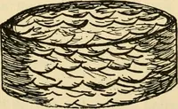 An illustration from Raphia and reed weaving, including also cardboard and paper construction; a practical course for primary and elementary schools (1901)