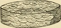 An illustration from Raphia and reed weaving, including also cardboard and paper construction; a practical course for primary and elementary schools (1901)