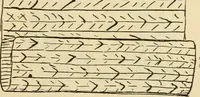 An illustration from Raphia and reed weaving, including also cardboard and paper construction; a practical course for primary and elementary schools (1901)