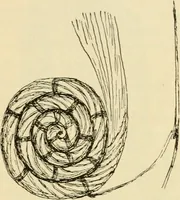 An illustration from Raphia and reed weaving, including also cardboard and paper construction; a practical course for primary and elementary schools (1901)