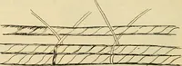 An illustration from Raphia and reed weaving, including also cardboard and paper construction; a practical course for primary and elementary schools (1901)