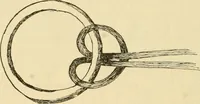 An illustration from Raphia and reed weaving, including also cardboard and paper construction; a practical course for primary and elementary schools (1901)