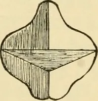 An illustration from Raphia and reed weaving, including also cardboard and paper construction; a practical course for primary and elementary schools (1901)