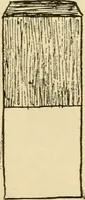 An illustration from Raphia and reed weaving, including also cardboard and paper construction; a practical course for primary and elementary schools (1901)