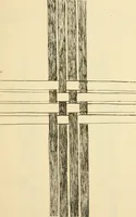 An illustration from Raphia and reed weaving, including also cardboard and paper construction; a practical course for primary and elementary schools (1901)