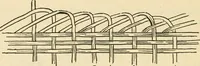 An illustration from Raphia and reed weaving, including also cardboard and paper construction; a practical course for primary and elementary schools (1901)