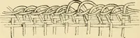 An illustration from Raphia and reed weaving, including also cardboard and paper construction; a practical course for primary and elementary schools (1901)